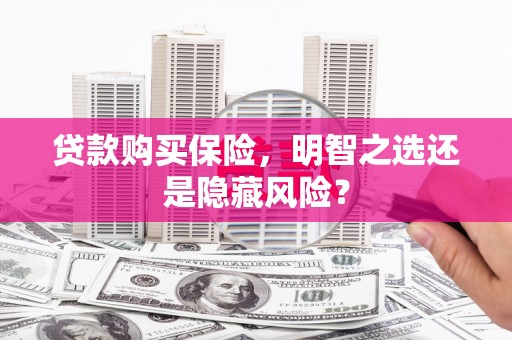 石排贷款购买保险，明智之选还是隐藏风险？