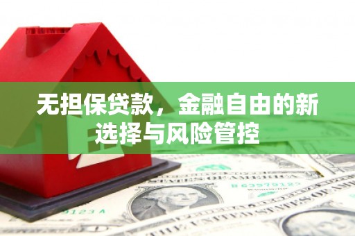 石排无担保贷款，金融自由的新选择与风险管控