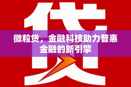 石排微粒贷，金融科技助力普惠金融的新引擎