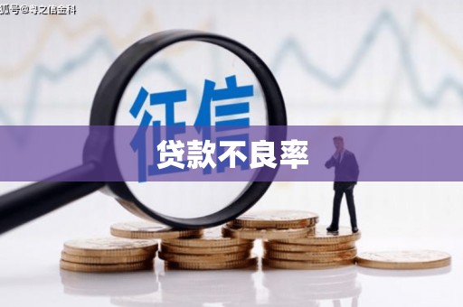 石排贷款不良率