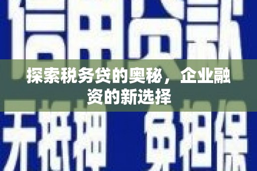 石排探索税务贷的奥秘，企业融资的新选择
