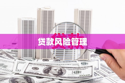 石排贷款风险管理