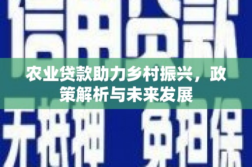 石排农业贷款助力乡村振兴，政策解析与未来发展