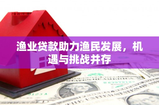 石排渔业贷款助力渔民发展，机遇与挑战并存