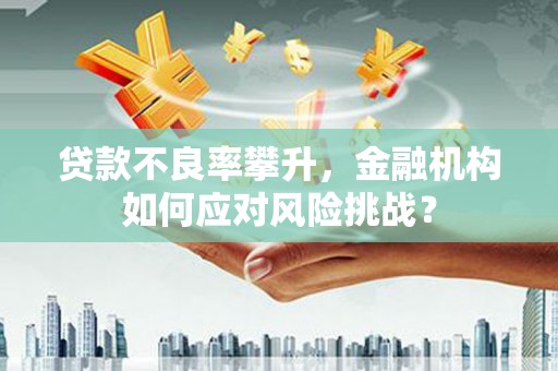 石排贷款不良率攀升，金融机构如何应对风险挑战？