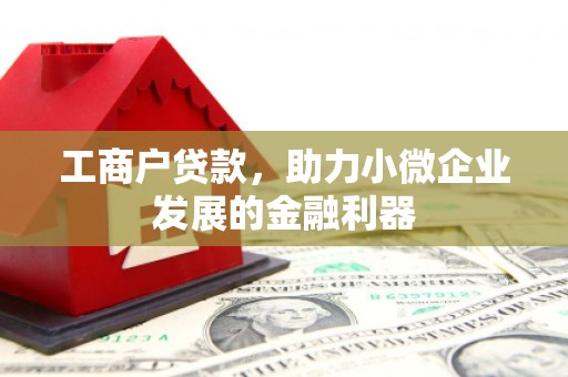 石排工商户贷款，助力小微企业发展的金融利器