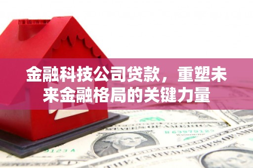 石排金融科技公司贷款，重塑未来金融格局的关键力量