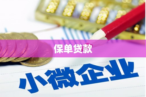 石排保单贷款