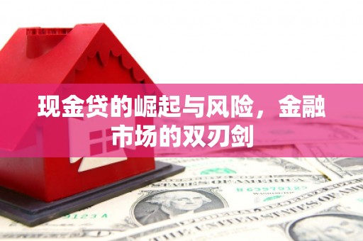 石排现金贷的崛起与风险，金融市场的双刃剑
