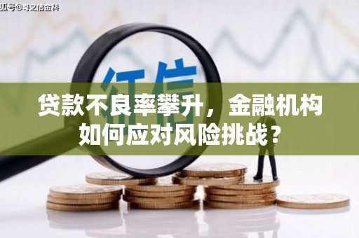 石排贷款不良率攀升，金融机构如何应对风险挑战？