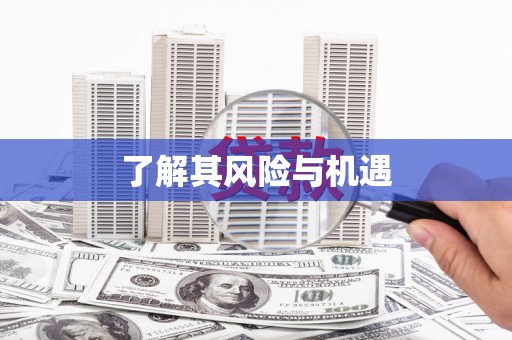 石排了解其风险与机遇