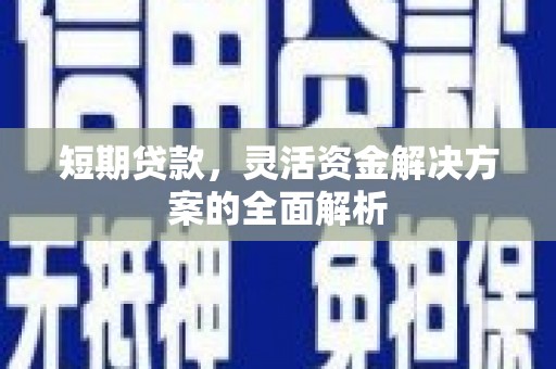 石排短期贷款，灵活资金解决方案的全面解析
