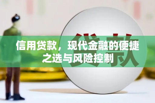 石排信用贷款，现代金融的便捷之选与风险控制