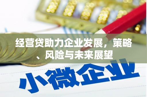 石排经营贷助力企业发展，策略、风险与未来展望