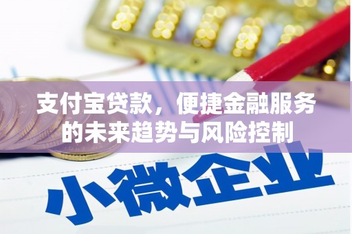 石排支付宝贷款，便捷金融服务的未来趋势与风险控制