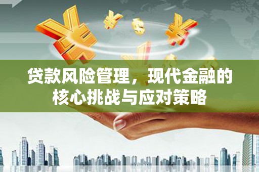 石排贷款风险管理，现代金融的核心挑战与应对策略