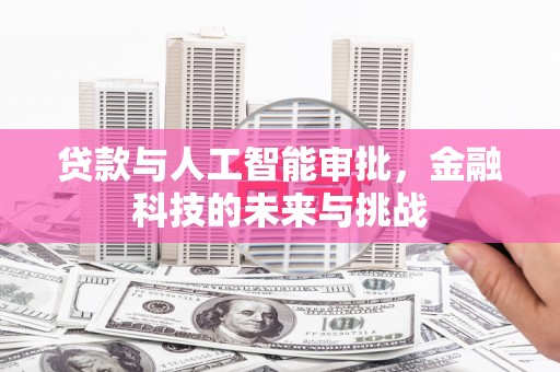 石排贷款与人工智能审批，金融科技的未来与挑战