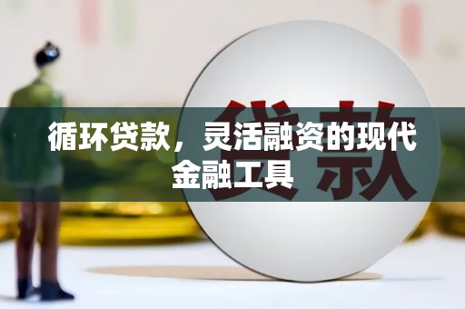 石排循环贷款，灵活融资的现代金融工具