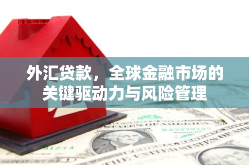 石排外汇贷款，全球金融市场的关键驱动力与风险管理