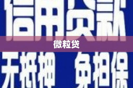 石排微粒贷