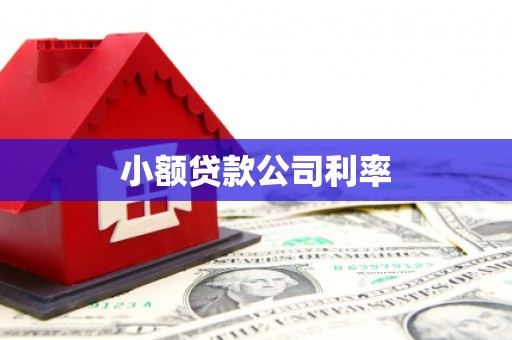 石排小额贷款公司利率