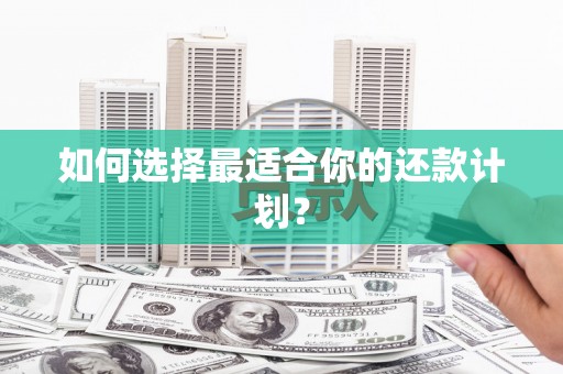 石排如何选择最适合你的还款计划？
