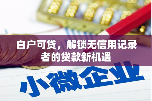 石排白户可贷，解锁无信用记录者的贷款新机遇