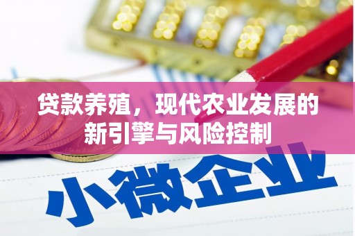 石排贷款养殖，现代农业发展的新引擎与风险控制
