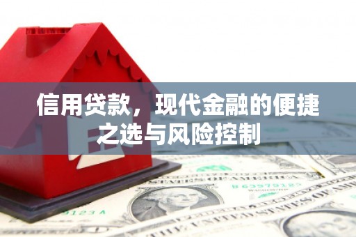 石排信用贷款，现代金融的便捷之选与风险控制