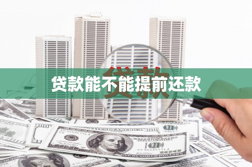 石排贷款能不能提前还款