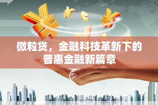 石排微粒贷，金融科技革新下的普惠金融新篇章