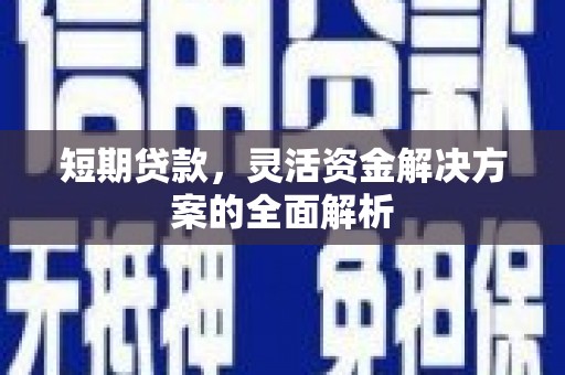 石排短期贷款，灵活资金解决方案的全面解析