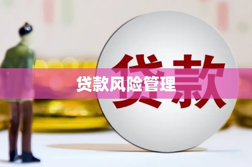 石排贷款风险管理