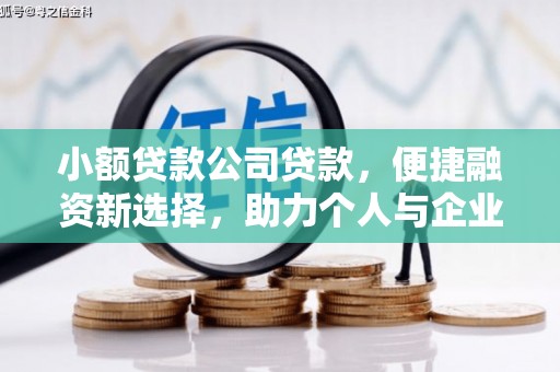 石排小额贷款公司贷款，便捷融资新选择，助力个人与企业成长