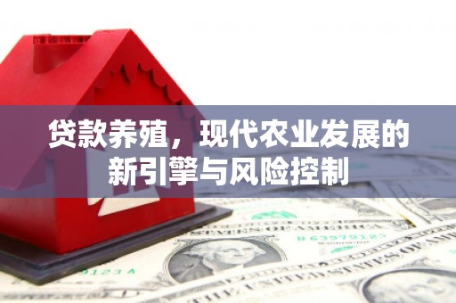 石排贷款养殖，现代农业发展的新引擎与风险控制