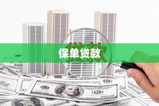 石排保单贷款