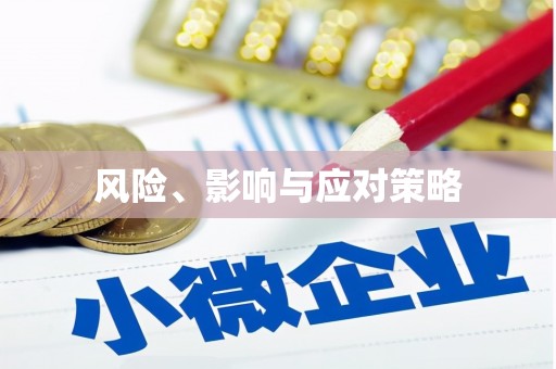 石排风险、影响与应对策略