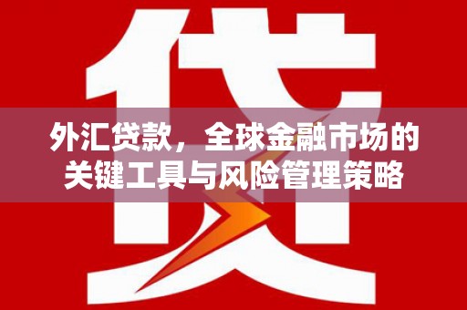 石排外汇贷款，全球金融市场的关键工具与风险管理策略