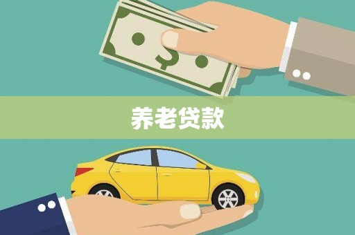 石排养老贷款