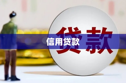 石排信用贷款