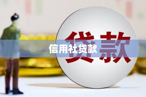 石排信用社贷款