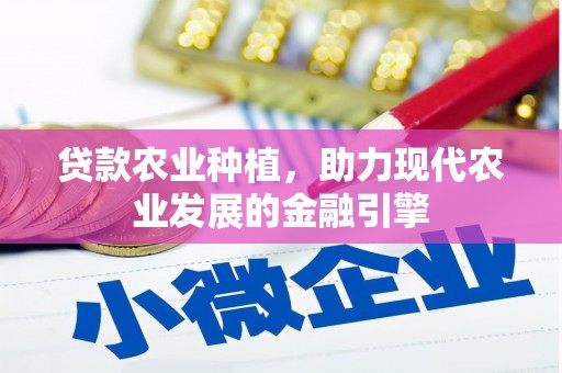 石排贷款农业种植，助力现代农业发展的金融引擎