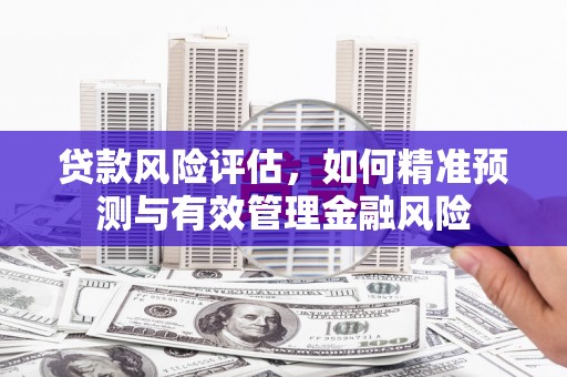 石排贷款风险评估，如何精准预测与有效管理金融风险