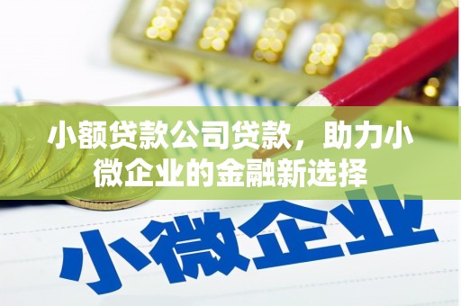 石排小额贷款公司贷款，助力小微企业的金融新选择