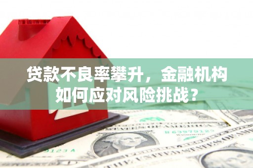 石排贷款不良率攀升，金融机构如何应对风险挑战？