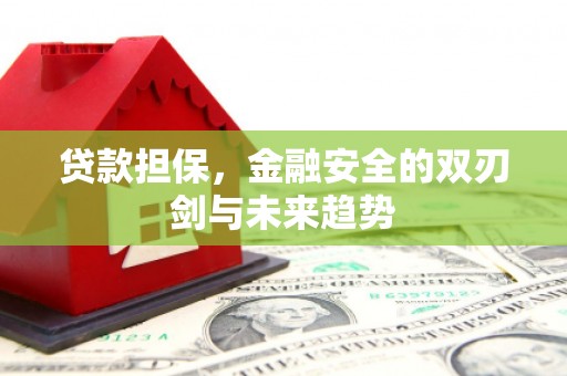 石排贷款担保，金融安全的双刃剑与未来趋势