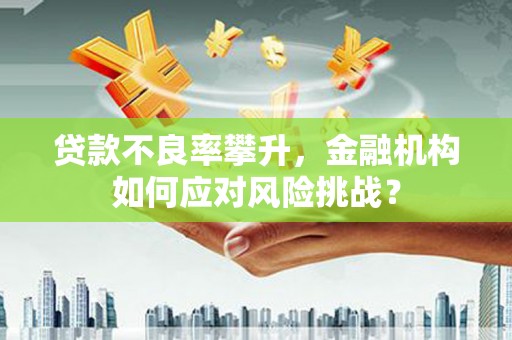 石排贷款不良率攀升，金融机构如何应对风险挑战？
