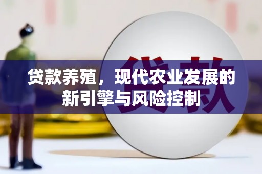 石排贷款养殖，现代农业发展的新引擎与风险控制