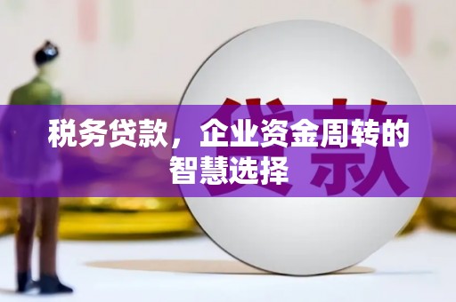石排税务贷款，企业资金周转的智慧选择
