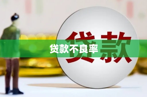 石排贷款不良率